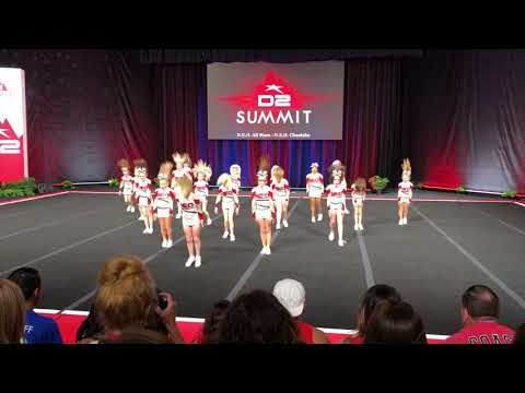 NEO Cheetahs - SY2 - D2 Summit Semi-Finals