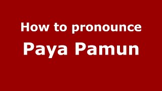 How to pronounce Paya Pamun