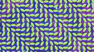 Animal Collective - In the Flowers