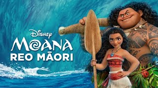 Moana - Tala Returns