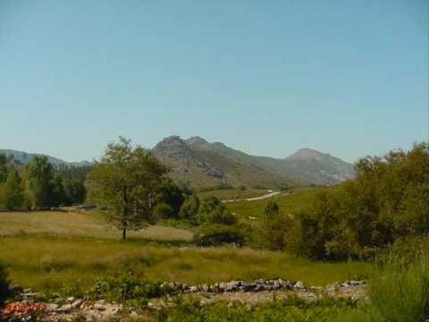 Billy Bond y la Pesada del Rock N Roll - El Parque