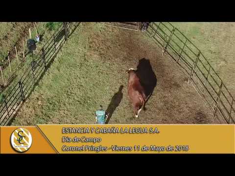 11-05-18 Dia de Campo " Estancia y Cabaña La Legua S.A. " - Coronel Pringles.