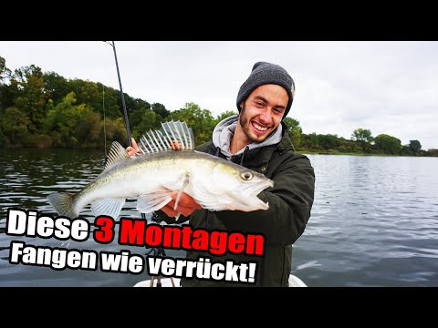 Diese Montagen fangen wie verrückt! Die 3 BESTEN Angelmontagen für Zander Angeln mit Gummifisch