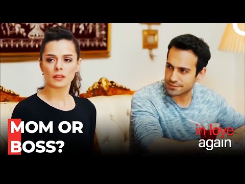 Zeynep The Businesswoman - In Love Again Special Scenes