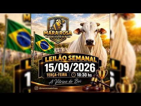MARA ROSA LEILÕES - GOIÁS - LEILÃO DE GADO DE CORTE 15/09/2026