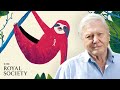 Why Is Biodiversity Important With Sir David Attenborough The Royal Society