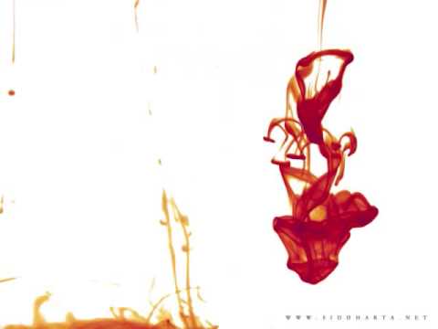Mad Lee - Siddharta