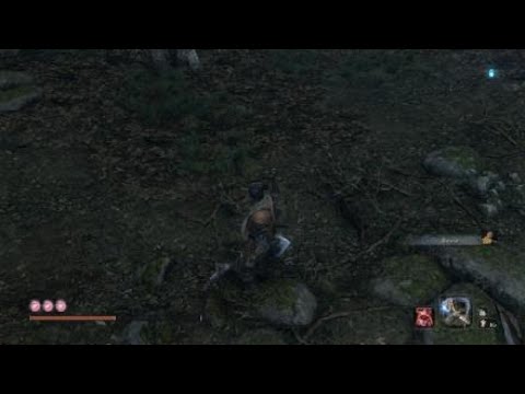 Sekiro™: Shadows Die Twice O'rin Of The Water Fast Kill No Damage