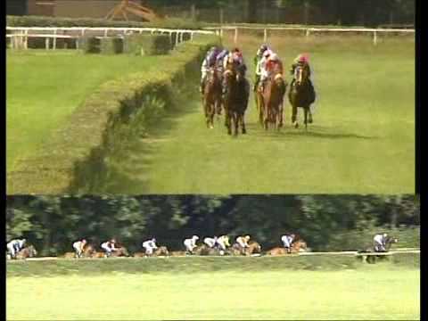 Galopprennbahn Dresden - 11.08.2012 - 3.Rennen