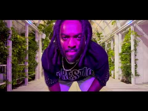 Qyor - The Life w/ Unga Barunga (Visualizer)