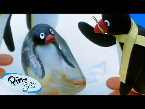 Pingu is Full of Surprises! 🐧 | Pingu - Official Channel | Cartoons For Kids