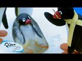 Pingu Is Full Of Surprises Pingu Official Channel Cartoons For Kids