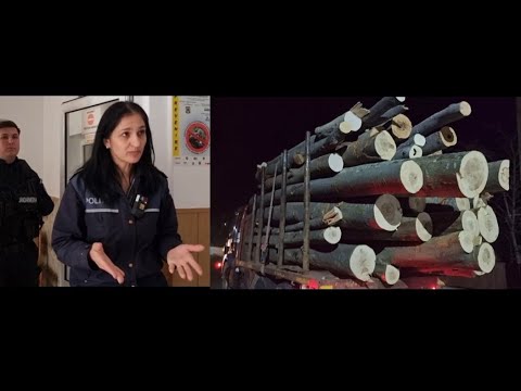 Poliția română lovește din nou ! 112 inofensiv ! Operațiunea lemnul eșuată !