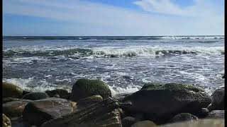 REO Speedwagon - In Your Letter