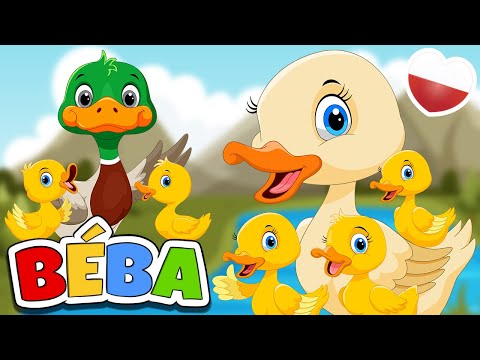 Pięć małych kaczątek | Piosenka dla dzieci ze zwierzętami | BÉBA