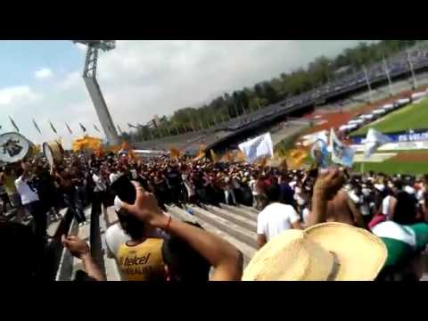 "La rebel pumas vs chemos" Barra: La Rebel &bull; Club: Pumas