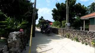 preview picture of video 'Water Buffalo Cart in Taketomi island Okinawa Japan / April 2012'