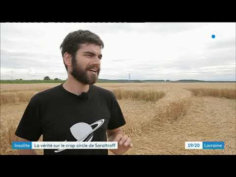 La vérité sur les crop circles - Astronogeek