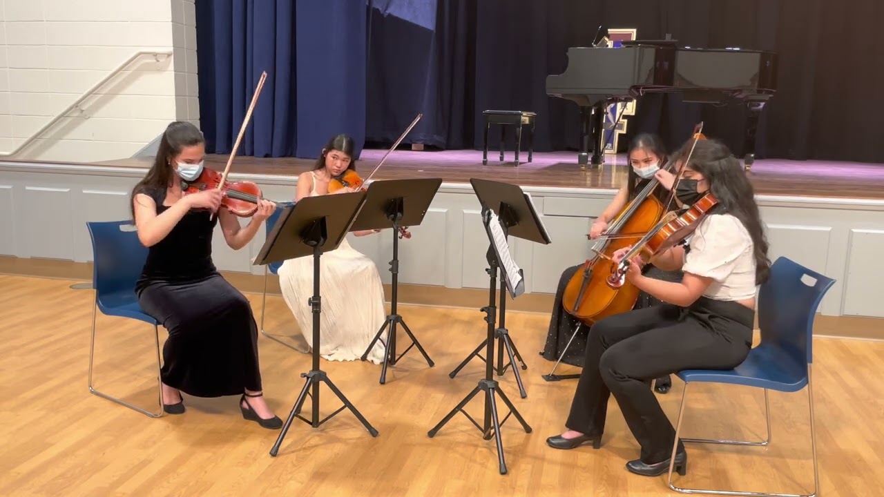 Promotional video thumbnail 4 for Violinist, Nicole Razhanskiy