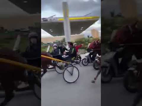 Il Coronavirus non frena l’illegalità: corsa clandestina di cavalli a Palermo | VIDEO