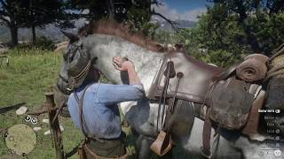 Red Dead Redemption 2 Get Fishing Rod in Fisher of Men Quest