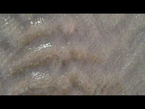 Don Charisma - Diving Faces Hopscotch