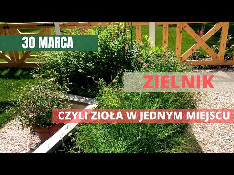 MARZEC w ogrodzie: 30. Zielnik. Jak i gdzie go założyć? Jak pielęgnować zioła w ogrodzie?