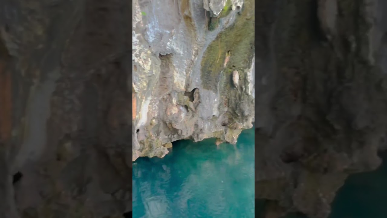 YouTube Short thumbnail