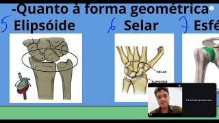Articulações (Generalidades) e movimentos.  Parte 2. @anatomia Simplificada 