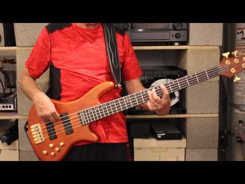 Spirit Mr Skin (Bass Cover)