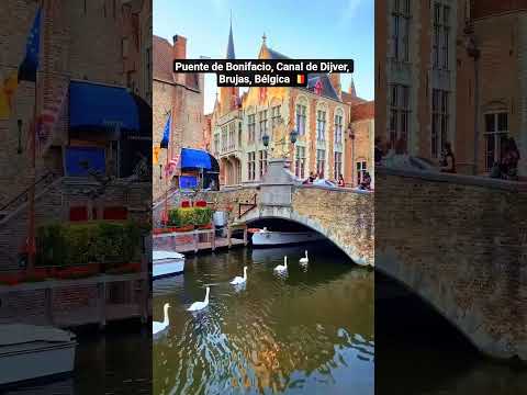 Puente de Bonifacio, Canal de Dijver, Brujas, Bélgica 🇧🇪 ¡Belleza! #youtube #shorts #travel #foryou