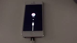 How to use an iPhone 5 stuck on iTunes caused by Pry Damage after Battery replacement