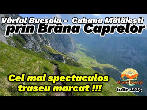 Singur pe Brâna Caprelor, cel mai SPECTACULOS traseu marcat din Munții Bucegi, iulie 2025