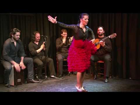 CASA PATAS 27 PALOMA FANTOVA