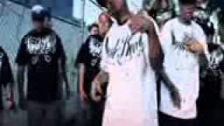 somos de barrio el perro de la c.