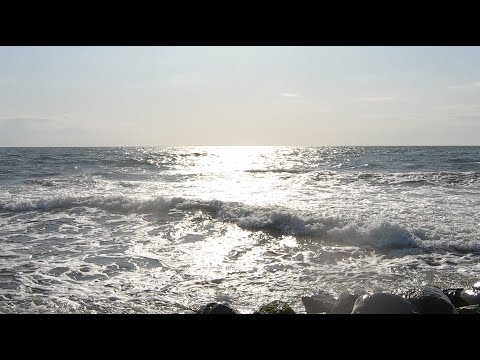 Wo Bist Du Jetzt - Franziska Günther