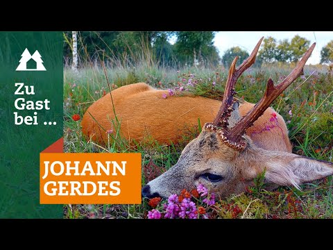 Leaf hunting | Buck hunting | "Guest of…" Johann Gerdes | Episode 12 | Roe deer | East Frisia | Moor