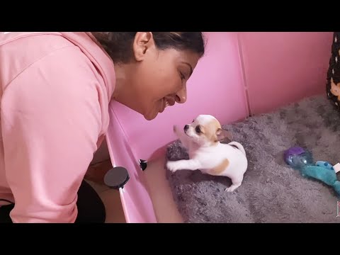 She started reacting on her NAME❤️ | Ss vlogs :-)