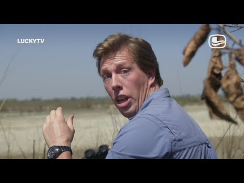 download lagu mp3 mp4 Freek Vonk, download mp3 Freek Vonk free download mp3, download mp3 Freek Vonk