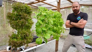 I’ve Perfected This Hydroponic System (by Adding Media)