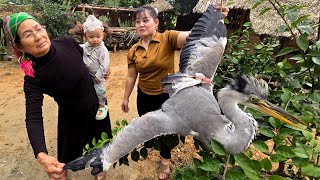 Download lagu The Mystery Behind the Giant Bird That Appeared at Our Front Door mp3 Download lagu The Mystery Behind the Giant Bird That Appeared at Our Front Door mp3