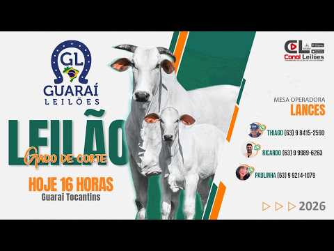 LEILÃO GADO DE CORTE GUARAÍ LEILÕES | GUARAÍ-TO  -  11/03/2026