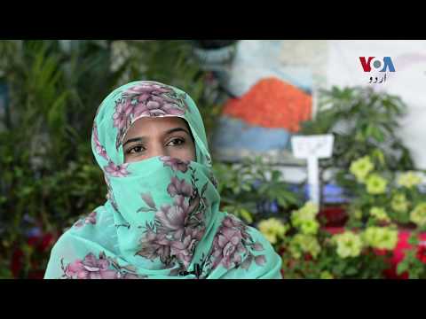 Flowers Exhibition in Quetta: Murtaza Zehri