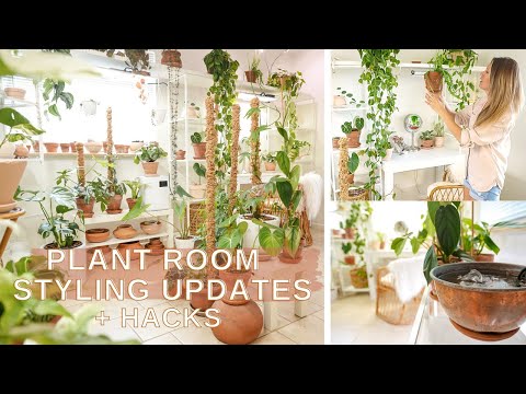 Plant Room Styling Updates + Hacks