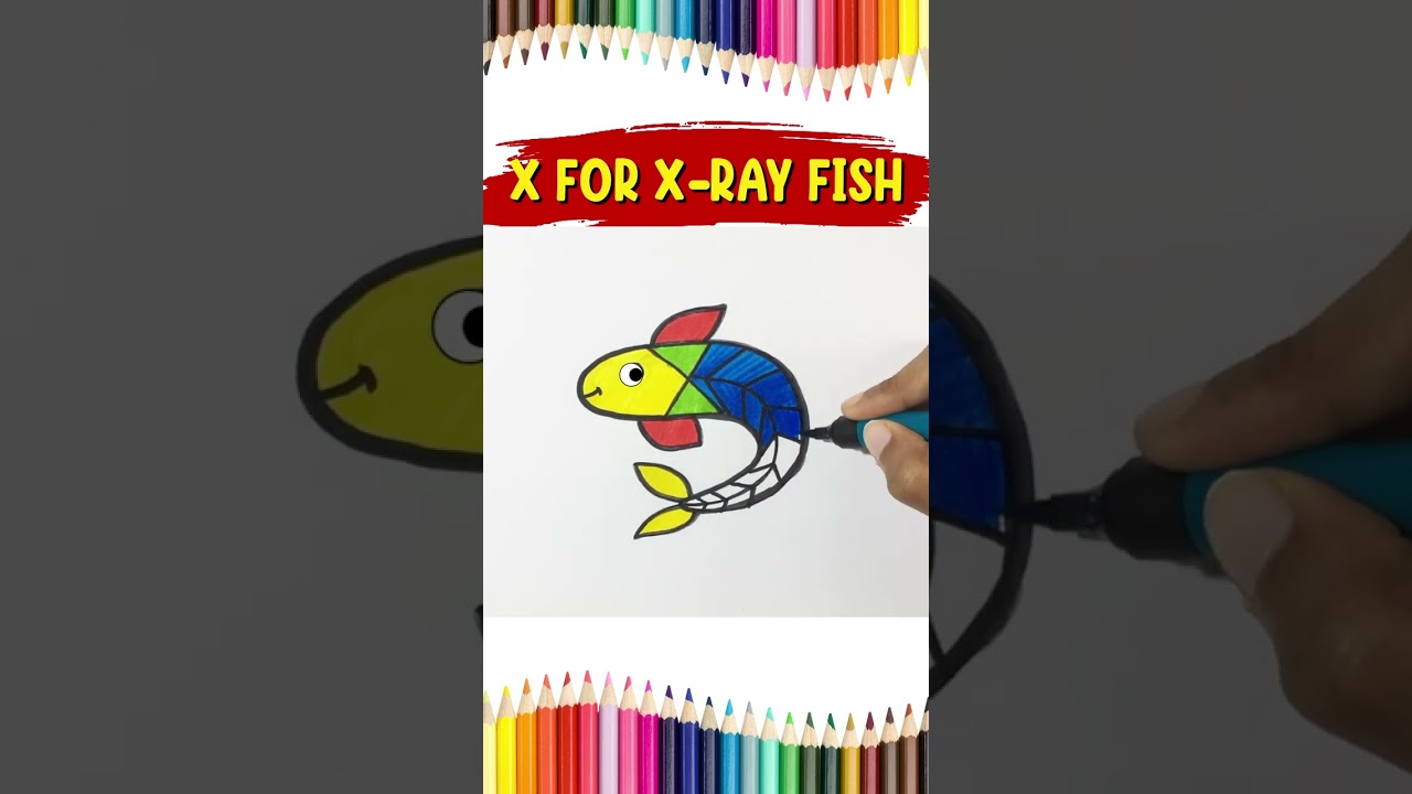 X for X-Ray Fish Drawing and Coloring | How to Draw X-Ray Fish Drawing and Coloring for kids | #84