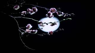 Die Verbannten Kinder Evas - Mistrust