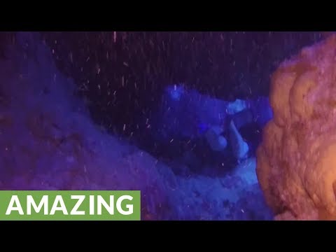 Mysterious underwater tunnels at Bloody Bay Wall, Cayman Islands