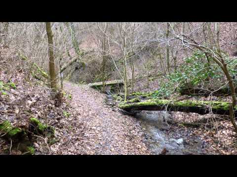 Über die Ausläufer des Hunsrücks zur Mosel, von Ernst nach Treis-Karden