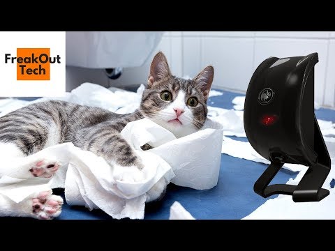 5 Awesome Cat Inventions You Must Have Video