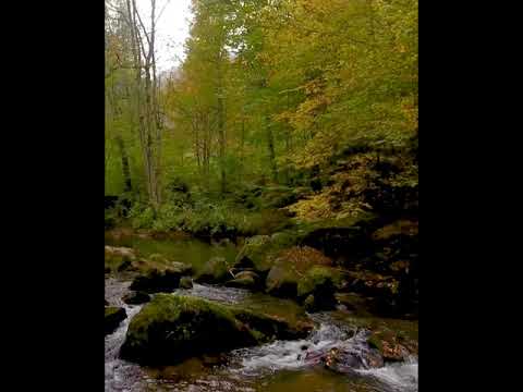 DEMİRKÖY SARPDERE KIRKLARELİ - İNSTAGRAM VİDEO ÇALIŞMASI